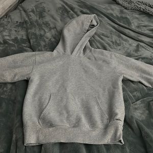 TNA aritzia grey hoodie
